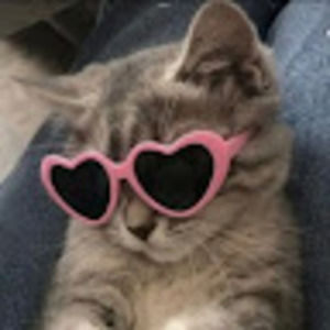 Meet your Posher, Charlotte